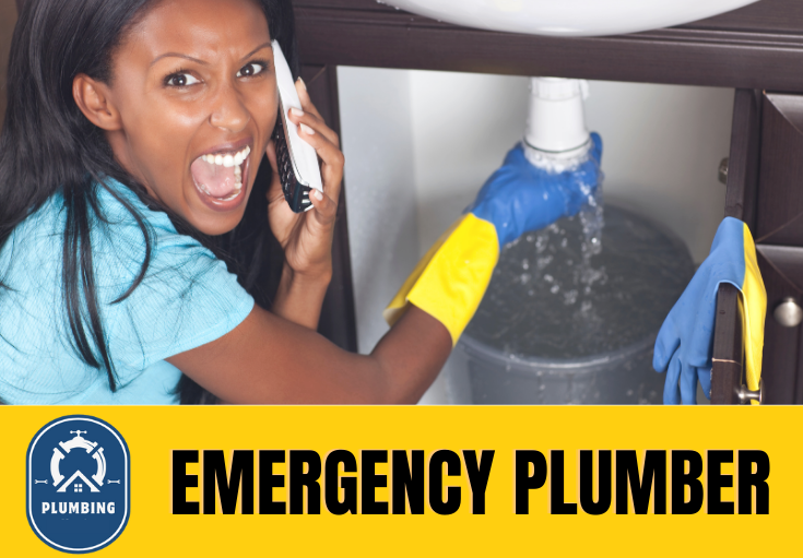 emergency plumber Crayford